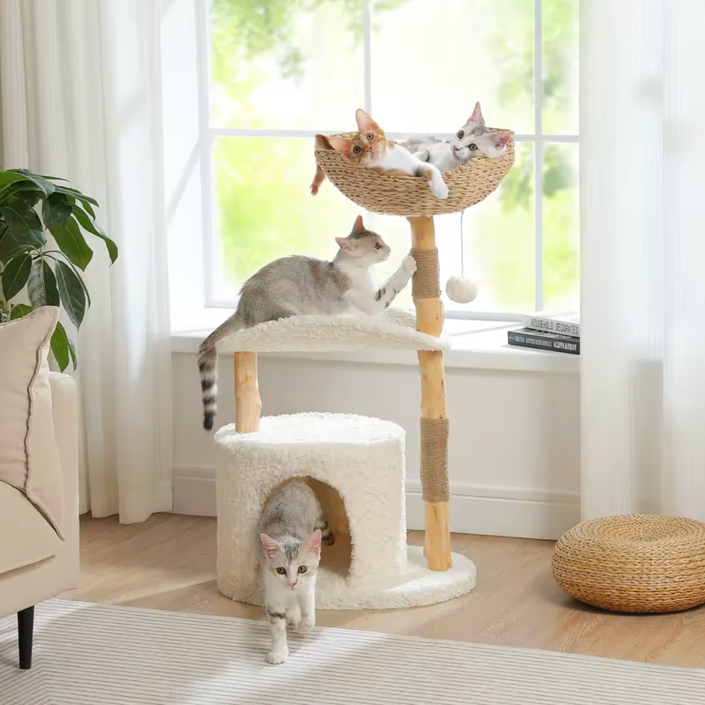 Arbre à chat blanc et en bois