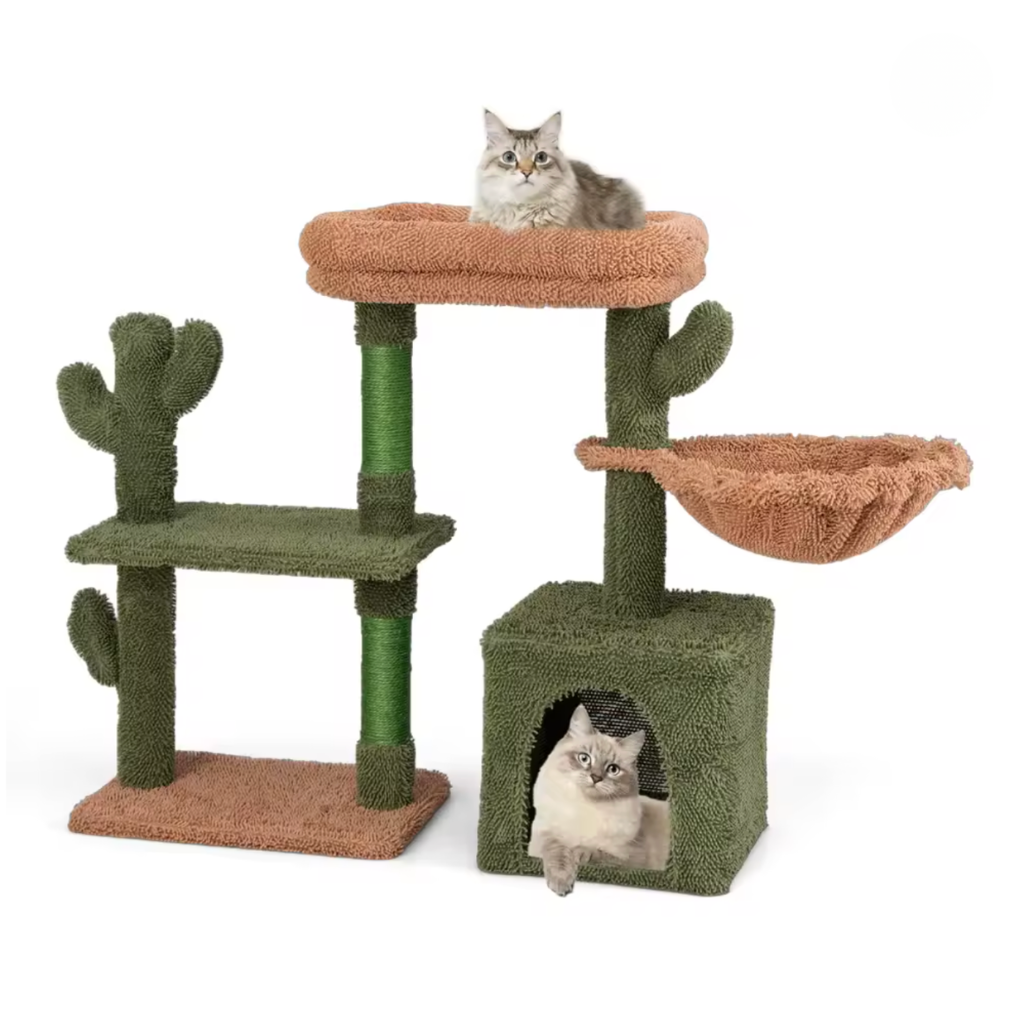 Arbre à chat cactus