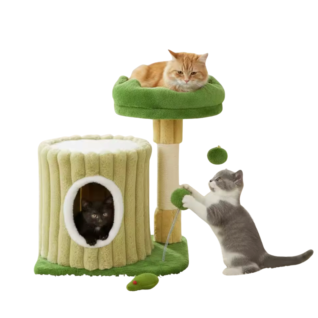 Arbre à chat vert